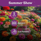 KVITER 550 California Giant Zinnia Seeds for 2026 (Zinnia Elegans) – Heirloom & Non GMO Double Blooms, Pollinator Magnet – Ideal Flower Seeds for Planting in Garden, Containers, Cutting Beds