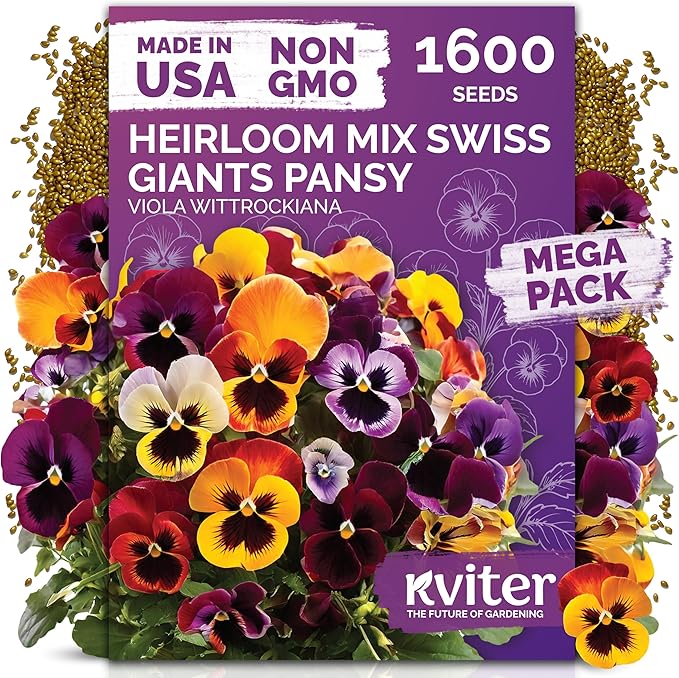 KVITER 1600 Swiss Giants Pansy Seeds For Planting (Viola wittrockiana) – Mixed Colors Seed Packets Viola Edible Blooms – Perennial Flower Seeds to Plant Outside Garden Seed Mix, Containers Flower Beds