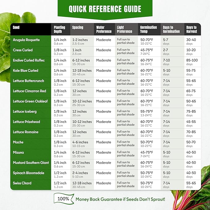20 Vegetable + 15 Lettuce & Salad Greens + 18 Culinary Herb Seeds Variety Pack Bundle 15300+ Non-GMO Heirloom Garden Seeds for Planting