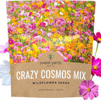 Cosmos Seeds Wildflower Mixture - Bulk 1 Ounce Packet - Over 5,000 Seeds - Pink, Yellow, Orange, Red, Purple and White Mixed Species!