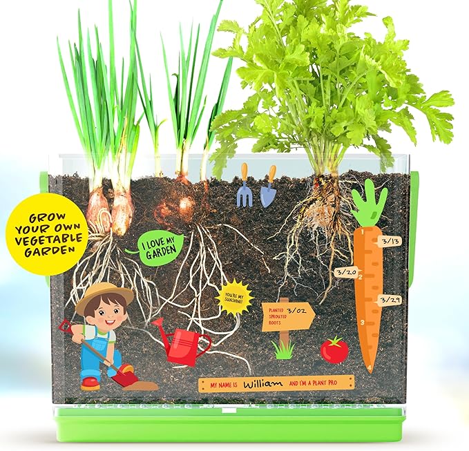 Dan&Darci Root Viewer Kit for Kids - Grow Your Own Plant for Boys & Girls Gifts - Science STEM Toy & Craft Growing Kits for Ages 4-8 Birthday Gifts for Boy, Girl 4, 5, 6, 7, 8, Year Old