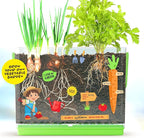 Dan&Darci Root Viewer Kit for Kids - Grow Your Own Plant for Boys & Girls Gifts - Science STEM Toy & Craft Growing Kits for Ages 4-8 Birthday Gifts for Boy, Girl 4, 5, 6, 7, 8, Year Old