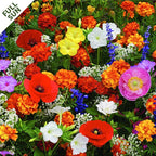 Seed Mat - Easy to Plant and Grow Garden Seeds - Creates Fragrant, Vibrant Flower Garden (DeerGuard Flower Garden - 1 Mat)