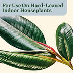 Miracle-Gro Plant Care Leaf Protect and Shine, 4-in-1 Insecticide, Miticide, Fungicide and Leaf Shine Spray for Indoor Plants, 8 fl. oz., 2-Pack