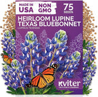 KVITER 75 Texas Bluebonnet Seeds (Lupinus Texensis) - Texas Lupine, Pollinator Friendly Wildflower, Non GMO Heirloom Seed - Annual Flower Seeds in Seed Packets for Outdoor Garden, Beds and Borders