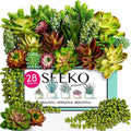 Succulents Plants Artificial 28 Pcs Realistic Premium Fake Succulents Faux for Indoor Outdoor UV Resistant DIY Home Office Decor