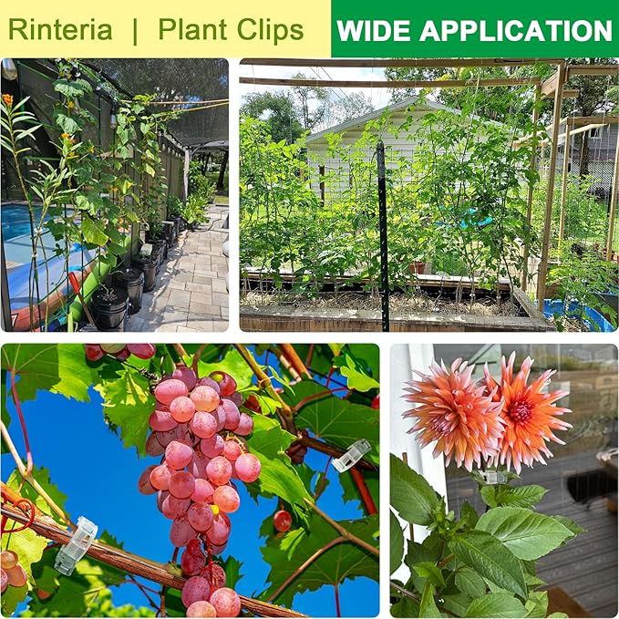 Tomato Clips for Climbing Plants 100 Pack, Plant Support Clips & Garden Clips for Vegetables Vine, Clear Reusable Plastic Plant Clips Indoor Outdoor Gardening