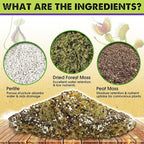 DUSPRO Carnivorous Plant Soil Mix 3QT-Include Forest Moss, Peat Moss, Perlite Potting Mix for Carnivorous Plants, Carnivorous Plants, Pitcher Plant, Butterworts, Sundews - Carnivorous Plant