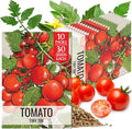 Seed Needs Tiny Tim Tomato Seeds for Planting Dwarf Cherry Tomatoes - Non-GMO Heirloom & Untreated Veggie Seed to Plant a Home Grown Outdoor Vegetable Garden (10 Packs)