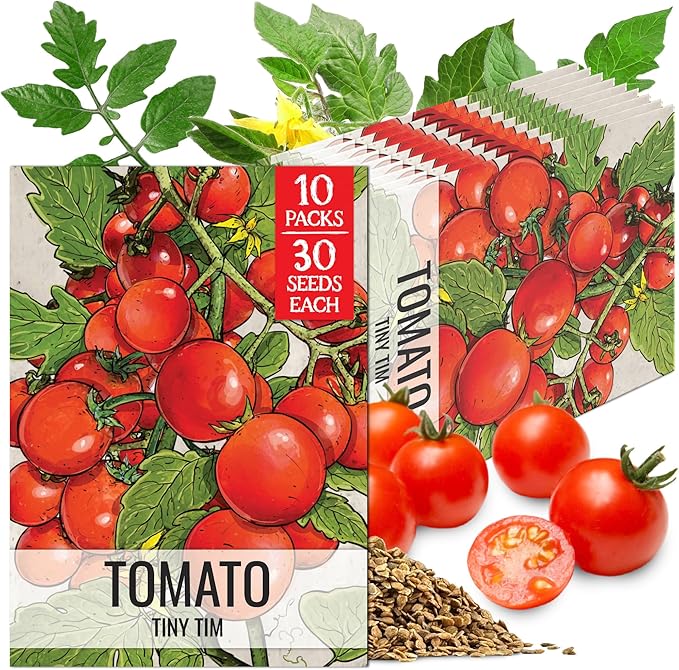 Seed Needs Tiny Tim Tomato Seeds for Planting Dwarf Cherry Tomatoes - Non-GMO Heirloom & Untreated Veggie Seed to Plant a Home Grown Outdoor Vegetable Garden (10 Packs)