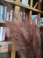 Premium Faux Brown Pampas Grass – 43.3" Tall Fluffy Decor, 8pcs 18-Branch One-Piece Stems No Assembly, Luxury Silk-Feel Feather Flowers for Boho Rustic Modern Home Decor (Cocoa Brown, 8 Stems / 110cm)