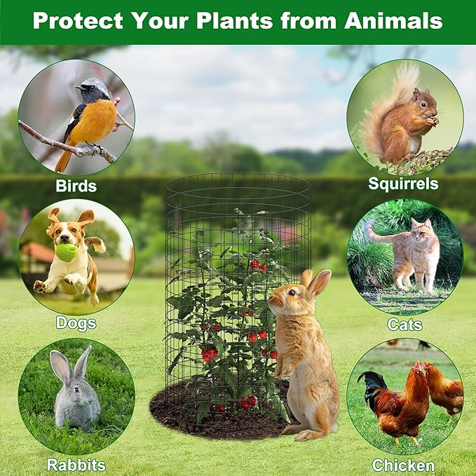 winemana 12 Set Garden Plant Protector Cage,36 Pcs 16x12 in Metal Wire Protectors for Plants Protection Cages with Stakes Ties Animals Barrier to Keep Rabbit Chicken Away from Flower Vegetables(Black)
