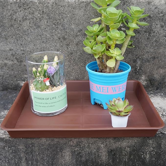 VUWEZ Rectangle Plant Tray, Plant Drip Tray, Plant Pot Saucers, Plant Germination Trays, Plant Saucers, 11'' x 9'' x 1.2'' (2 pack), Chocolate
