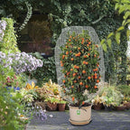 Alpurple 2Pcs 4.6 x 3.9 Ft Garden Plant Netting Mesh Barrier Bags- Fruit Tree Net with Drawstring- Tomato Plant Protective Netting Cover for Protect Plant Fruits Citrus Flower from Insect Bird Eating