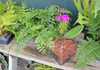 SuperMoss (23112) Orchid Potting Bark, 100% Natural White Fir Bark, 3/4", 2 Cu. Ft.