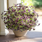 Artificial Greenery Plants Outdoor, 5 Pcs Faux Coleus Plants UV Resistant Silk Plants with Stems, Fake Plants for Outside Garden Patio Hanging Planter Pathway Front Porch Decoration(Brown)