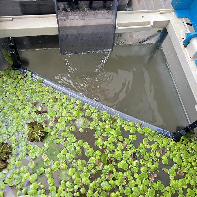 HOZOE Floating Plant Fence for Aquarium, Separates Plants, Automatically Adjusts Height with Water Level, Suitable for Most Aquariums. (1 PCS)