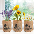 Meekear 5 Kit - Growing into Shasta Daisy, Cornflower, Sunflower, Zinnia, Lavender for Indoor Outdoor Garden DIY Gifts