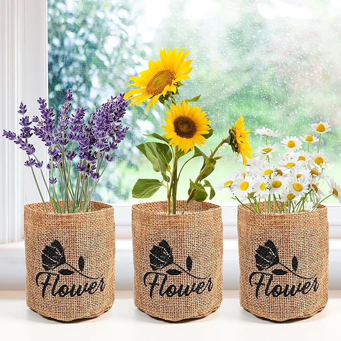 Meekear 5 Kit - Growing into Shasta Daisy, Cornflower, Sunflower, Zinnia, Lavender for Indoor Outdoor Garden DIY Gifts