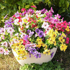Artificial Flowers for Outdoor Fake Plants for Spring Decoration,Faux Eucalyptus Flowers for Planter UV Resistant Lifelike for Home Porch Garden (6 Color)