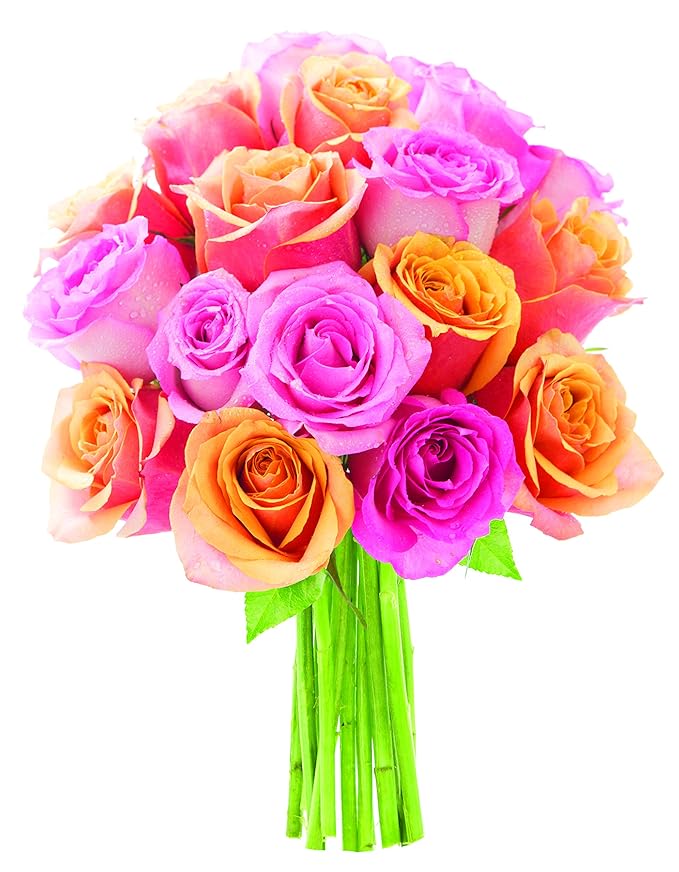 KaBloom - -Brighten My Day! Bouquet - Without Vase - Fresh Flowers for Birthday, Valentine's & Mother's Day