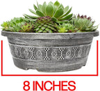 Live Sempervivum Hens and Chicks Succulent Bowl with Mini Plants, Decorative Ceramic Planter by Plants for Pets