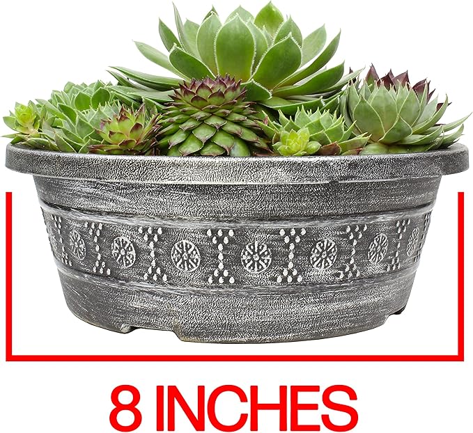 Live Sempervivum Hens and Chicks Succulent Bowl with Mini Plants, Decorative Ceramic Planter by Plants for Pets