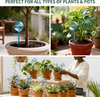 6-Pack Plastic Small Plant Watering Globes, Premium PVC Shatter-Resistant Plant Waterer, Self Watering Planter Insert with Tapered Opening, Automatic Watering Spikes for Daily & Vacation
