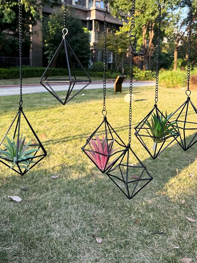 6 Pack Hanging Metal Air Plant Holders with Chain, Black Geometric Tillandsia Air Plant Hanger Cages, 2 Styles Mini Iron Air Plants Live Holders for Home Office Garden Decor