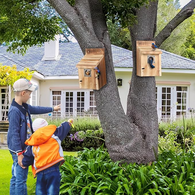 Dreyoo Cedar Bluebird Houses for Outside, 1-1/2” Entrance Hole Wooden Bird Houses with Metal Predator Guard, Secure Latch, Fledgling Grooves, Air Vents(Dark Wood)