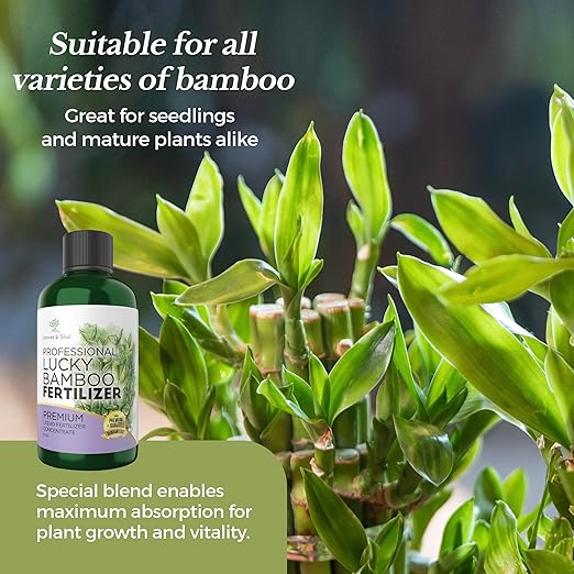 Professional Lucky Bamboo Fertilizer Liquid 3-1-2 Concentrate 8 oz, Premium Bamboo Plant Fertilizer Indoor Liquid, Bamboo Food for Indoor Plants, Fertilizer Made in USA