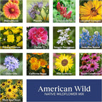 Burpee American Wild Wildflower Seeds | 25,000 Bulk Seeds, Multi, 1 Bag | 13 Varieties of Non-GMO Flower Seeds | Covers 1,000 Sq. Ft. | Grown in the USA