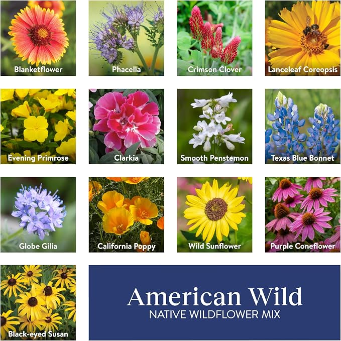 Burpee American Wild Wildflower Seeds | 25,000 Bulk Seeds, Multi, 1 Bag | 13 Varieties of Non-GMO Flower Seeds | Covers 1,000 Sq. Ft. | Grown in the USA