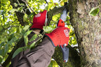 FELCO 603 Folding Pruning Saw – Curved Pull-Stroke Saw for Tree Trimming & Elevated Cut | Tree Branch Cutter | Folding Handsaw with Chrome-Plated 8" Blade, Non-Slip Handle, Blade Lock, Swiss Precision