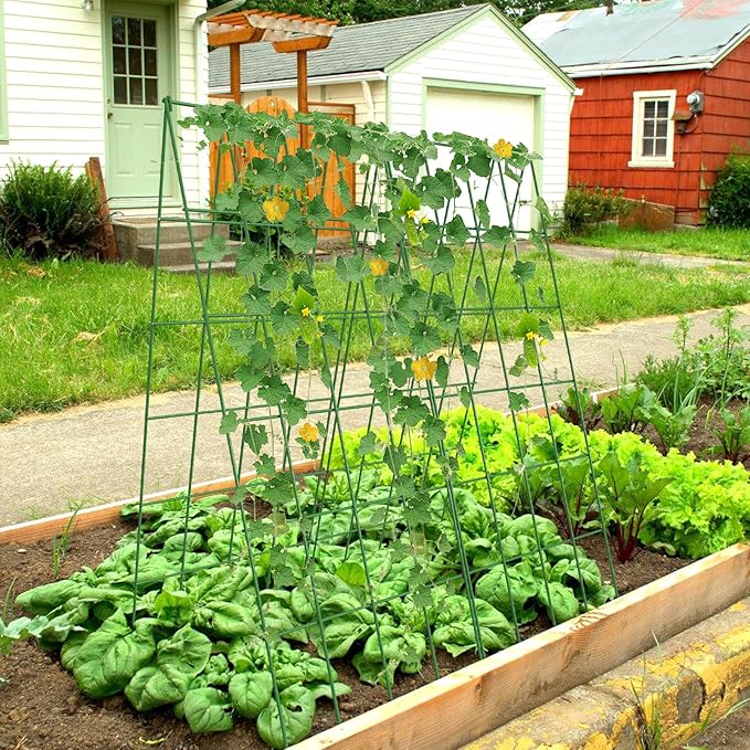 Cucumber Trellis 2 Pack, Foldable A-Frame Garden Trellis for Raised Bed Garden Grow Support with Plant Support Clips, Twist Ties, Plastic Ties, for Cucumber,Tomato, Climbing Plants and Flowers