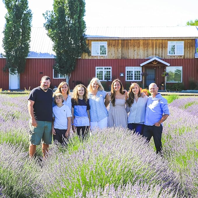 Victoria's Lavender Tumalo Lavender French Lavandin Lavender Plant, Live Edible Plants, Organically Grown, Non-GMO, Aromatic Perennial Herbs
