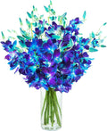 KaBloom - Exotic Blue Sapphire Orchid Bouquet of 20 Fresh Blue Dendrobium Orchids from Thailand with Vase - Fresh Flowers for Birthday, Valentine's & Mother's Day