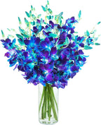KaBloom - Exotic Blue Sapphire Orchid Bouquet of 20 Fresh Blue Dendrobium Orchids from Thailand with Vase - Fresh Flowers for Birthday, Valentine's & Mother's Day