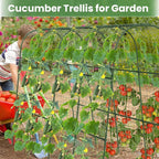 Cucumber Trellis, Metal Garden Arch Trellis for Raised Bed, 63 x 48inch U-Shape Garden Trellis for Climbing Plants Outdoor, Vegetables Fruit Plant Support with Netting, Gardening Supplies (Green)