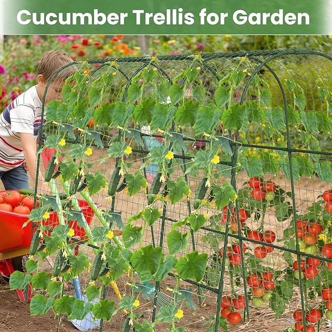 Cucumber Trellis, Metal Garden Arch Trellis for Raised Bed, 63 x 48inch U-Shape Garden Trellis for Climbing Plants Outdoor, Vegetables Fruit Plant Support with Netting, Gardening Supplies (Green)