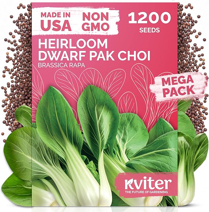 KVITER 1,200 Baby Bok Choy Seeds for Planting (Brassica rapa subsp. chinensis) – Heirloom Extra Dwarf Pak Choi, White Stem Chinese Variety – Organic Cabbage Seeds to Plant in Vegetable Garden