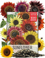Seed Needs Sunflower Seeds to Plant Sunset Blend 7 Varieties Mix | 1000+ Seeds Helianthus Annuus Heirloom Open Pollinated Bulk Flower Seed | Multicolored Sun Flowers
