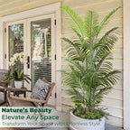 6FT Tall Artificial Palm Trees, Potted Plant (2 Pack) Tropical Areca Palm, UV Resistant Indoor/Outdoor Fake Plant in Black Cement Pot, Realistic Decor for Patio, Living Room, Office