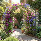 DoCred Tall Garden Arch Trellis for Climbing Plants, 87in Tall Metal Plant Support Trellis Archway for Climbing Vine Vegetable/Fruit/Flower Outdoor Yard Lawn Garden Arch Tunnel Trellis