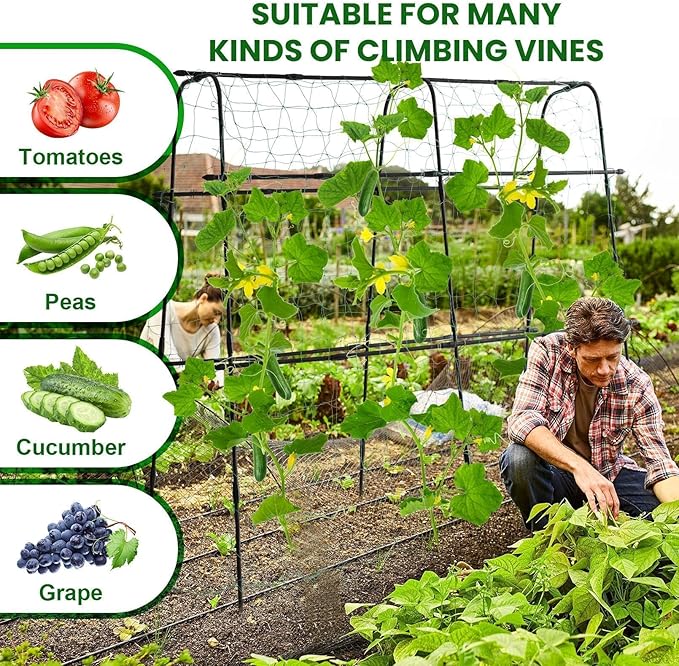 Garden Trellis for Climbing Plants Outdoor, 5.3x5.3ft Garden Trellis Climbing Plant Support Plastic-Coated Metal U-Shaped Vine Vegetables Tomato Cucumber Trellis Raised Bed, with Netting, Black