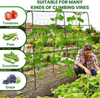 Garden Trellis for Climbing Plants Outdoor, 5.3x5.3ft Garden Trellis Climbing Plant Support Plastic-Coated Metal U-Shaped Vine Vegetables Tomato Cucumber Trellis Raised Bed, with Netting, Black
