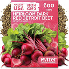 KVITER 600 Detroit Dark Red Beet Seeds (Beta vulgaris) - Known As Beet Root, Tender & Sweet 2-3" Red Beets - Non Gmo & Heirloom Vegetable Seeds For Planting Outdoors in Garden, Raised Beds, Containers