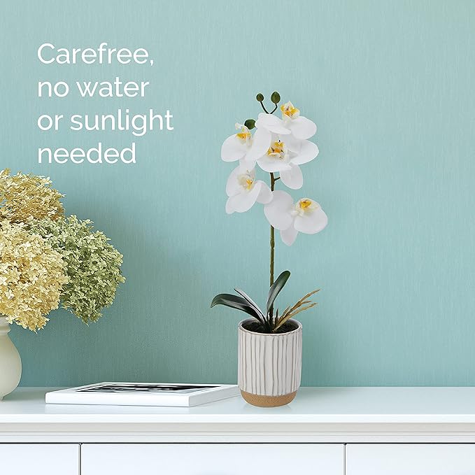 Mikasa Artificial Orchid in Pot, Real Touch Phalaenopsis Orchid, Cream Glaze Ceramic Pot, 16-Inch Single Branch, White/Yellow