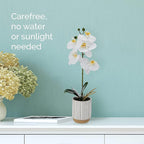 Mikasa Artificial Orchid in Pot, Real Touch Phalaenopsis Orchid, Cream Glaze Ceramic Pot, 16-Inch Single Branch, White/Yellow