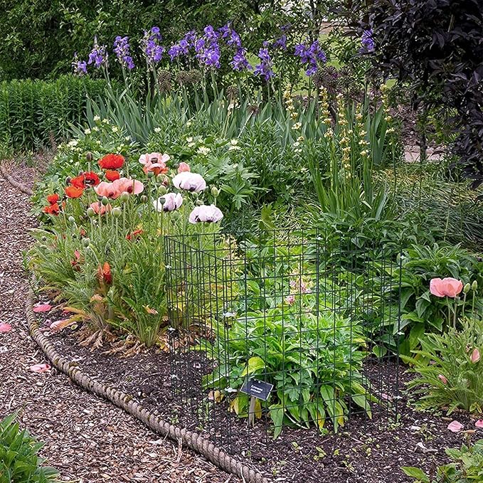 Small Wire Plant Protectors, 10 Pack 12" Square Plant Protectors from Animals Mesh Plant Cage Chicken Wire Cover for Protect Plants, Garden,Shrubs and Vegetables from Animals